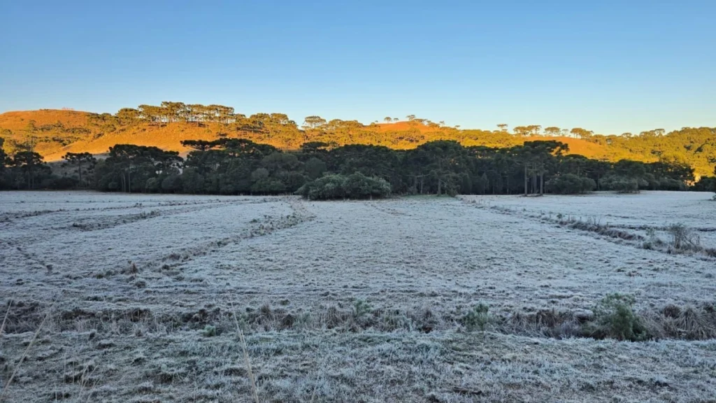 Cidades do Sul do país amanhecem com geada e temperaturas negativas