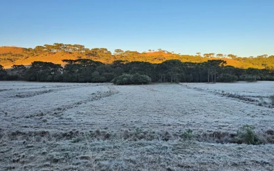 Cidades do Sul do país amanhecem com geada e temperaturas negativas