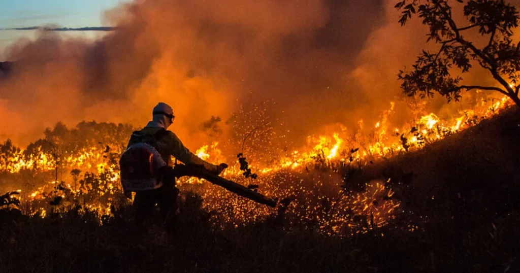 Desmatamento: alertas caem 9% na Amazônia e no Cerrado