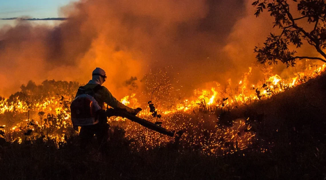 Desmatamento: alertas caem 9% na Amazônia e no Cerrado