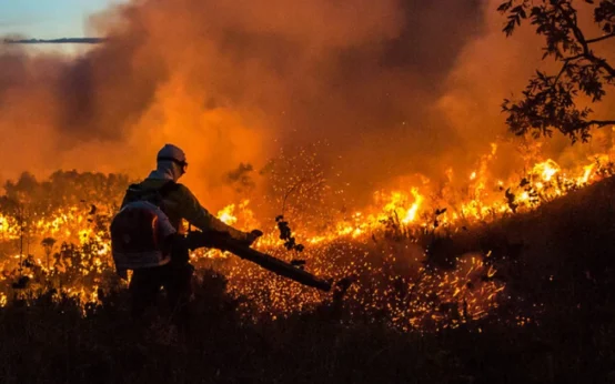 Desmatamento: alertas caem 9% na Amazônia e no Cerrado